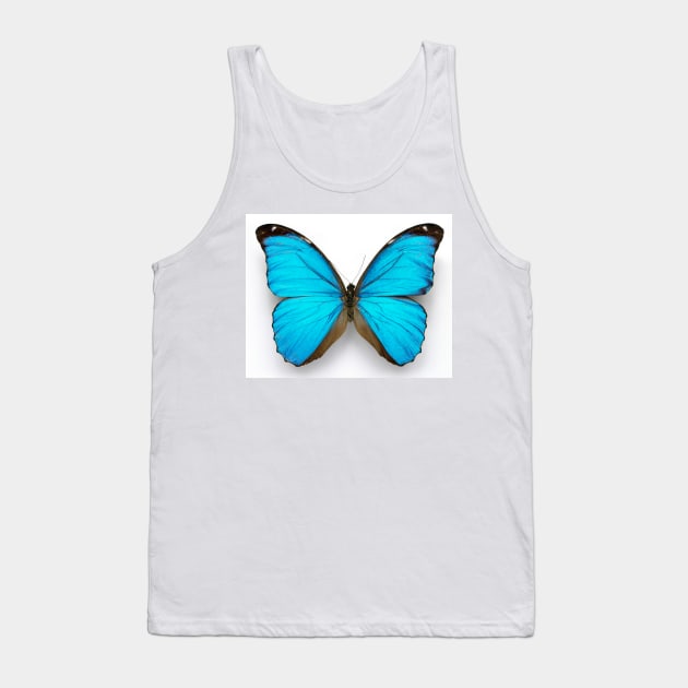 Cramer's blue butterfly (C010/8389) Tank Top by SciencePhoto